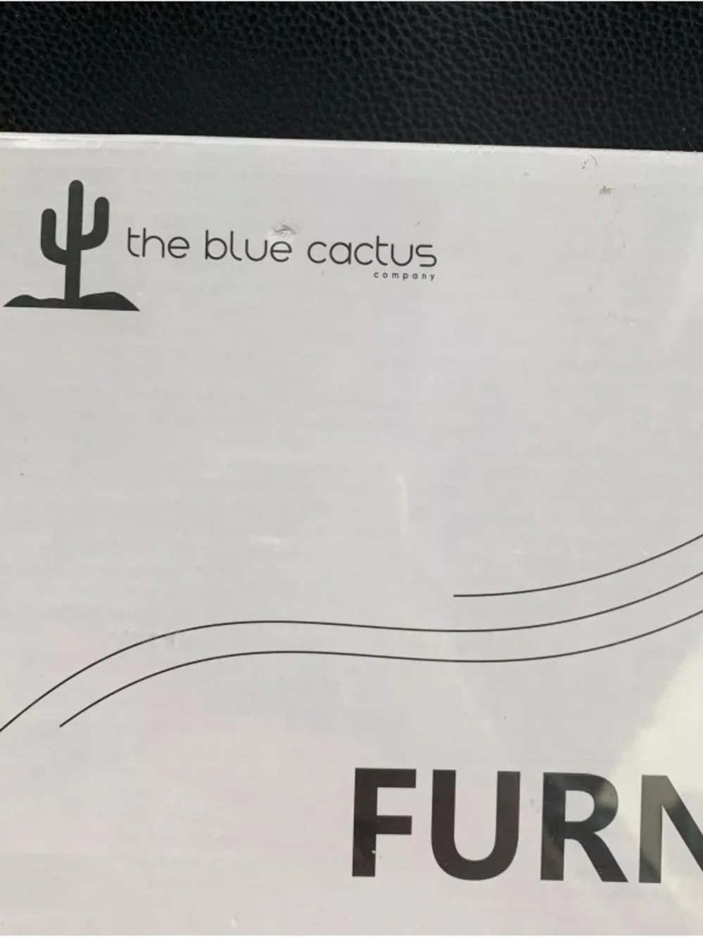 N/A blue cactus